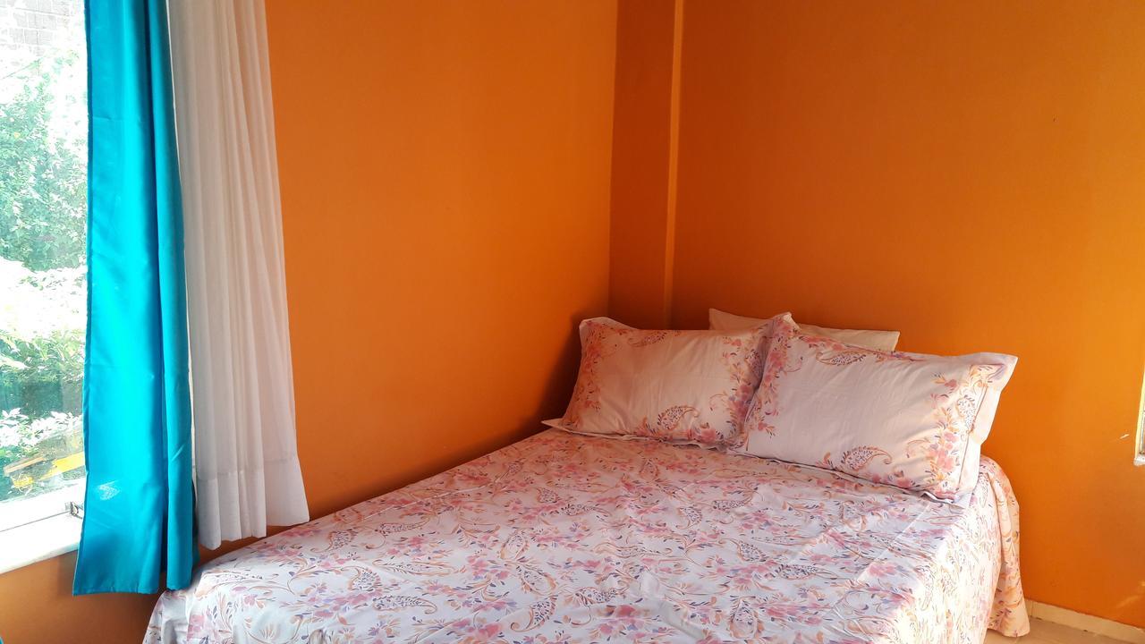 Banana Leaf Eco Hostel Rio de Janeiro Dış mekan fotoğraf